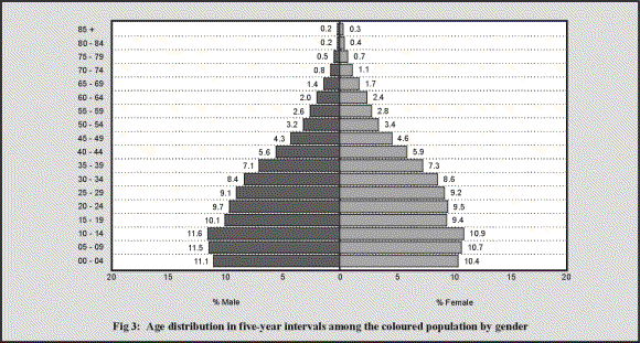 fig3.GIF (33626 bytes)