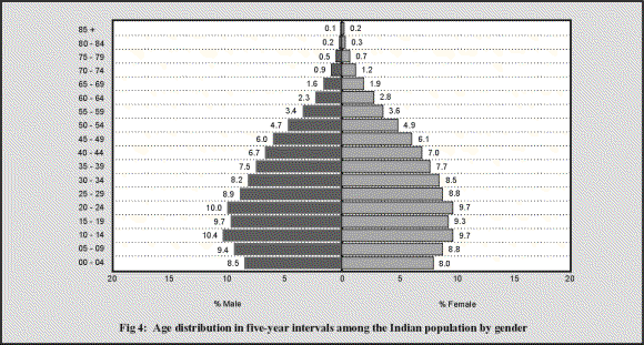 fig4.GIF (34075 bytes)