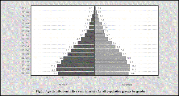 fig1.GIF (24334 bytes)