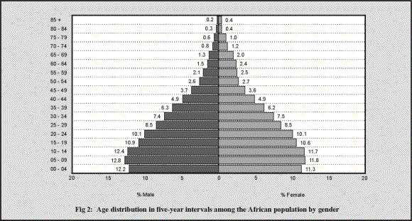 fig2.GIF (33001 bytes)