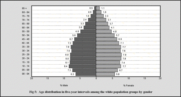 fig5.GIF (33932 bytes)